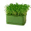 Sprouting Tray Box Vegetable Soilless Pea Bean-Light Green 1 1