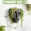 Practical Wall Mount Planter With Drainage  Beautiful-Black 4