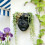 Practical Wall Mount Planter With Drainage  Beautiful-Black 6