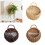 Artistic Open Weave Wall Hanging Basket Crafted From-cream S 3