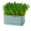 Plastic Hydroponic Sprout Grow Tray For Bean Sprout-Blue 1 1