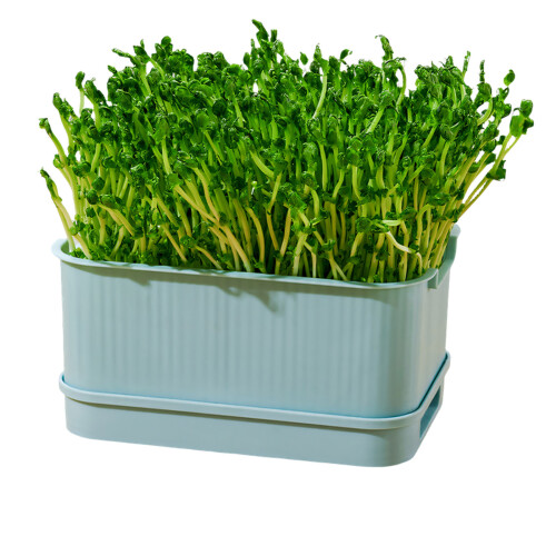 Seedling Sprout Tray Nursery Tray Saving Space-Blue 1