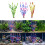 10PCS Artificial Green Spirals Plant Simulation Water-Purple 3