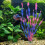 10PCS Artificial Green Spirals Plant Simulation Water-Purple 6