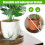 Practical Plastics Plant Pot Tray With Antislip-12 inches 6