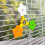 Rotating Flower Perch Windmill Toy For Small Bird Parrots 3