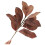 Realistic Simulation Magnolia Twig Artificial-Coffee color 1