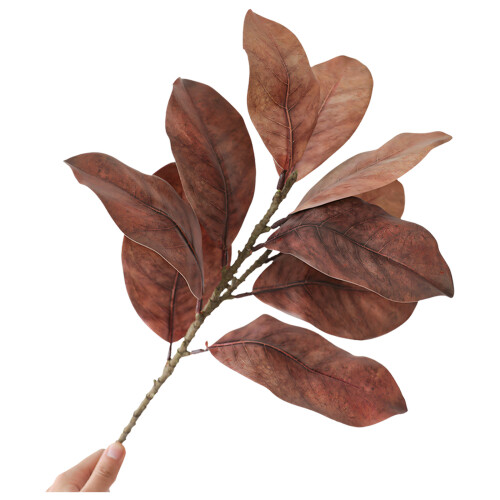 Realistic Simulation Magnolia Twig Artificial-Coffee color