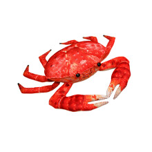 Lebensechte Krabbe PP-Baumwollpuppe 35 cm 55 cm-55 Königskrabbe
