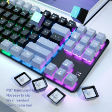 RGB Mechanische Tastatur 87 Tasten USB Schwarz