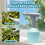 Birchtree BIRCHTREE Electric Garden Sprayer Bottle 1L USB Type-C with Adjustable Nozzle 3