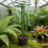 Plant Climbing Stick Sphagnum Plant Support Trellis Frame Space 5