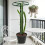 Plant Climbing Stick Sphagnum Plant Support Trellis Frame Space 6