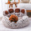 Cosy Bear Paw Pet Bed Plush 1