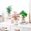 Elegant Hydroponic Flower Pot Plant Creative Small-Large 2 7