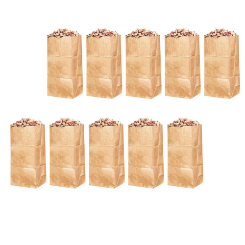 Lot de 10 sacs à feuilles en papier artisanal de- impression