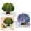 Quality 3D Layering Greeting Card With-butterfly green 3