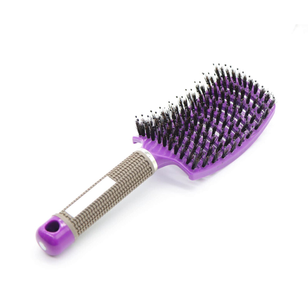 Purple Boar Bristle Hair Brush Curved Vented Detangling Brush For Thick Curly Hair Blow Drying