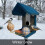 Permanent Bird Rest Extension Bird Feeders DIY Extension-B 6