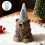 Eye Catching Bear Silicone Mold For Making Candle Soaps And Fun 6
