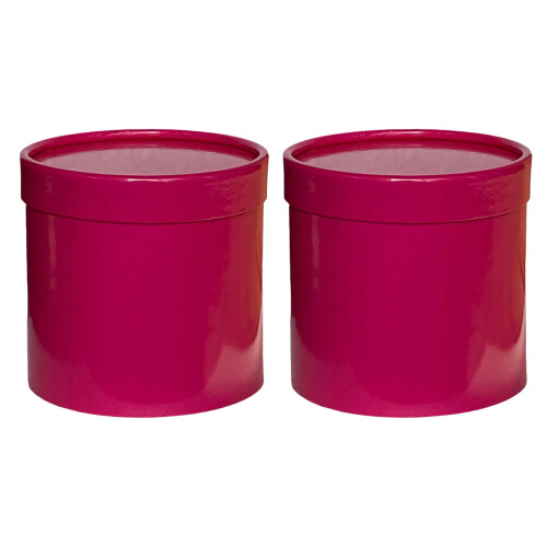 2 dekorative Mini-Blumentöpfe, tragbar und-Rosenrot