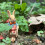 Miniatur-Hasenfiguren, Mini-Hasen aus Kunstharz,-Rucksack Hase 7