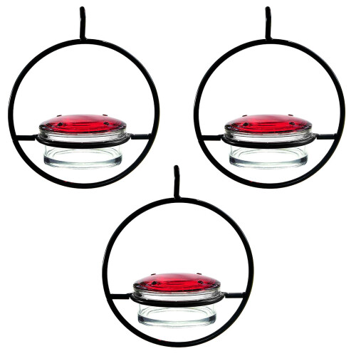 -3 pack 3 pack 3 pack 3 pack 3 pack 3 pack 3 pack 3 pack 3 pack 3