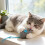 Plush Mouse Toy Soft Chewing Mouse for Kitten Teething Toy Mouse 6