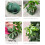 Innovative Vertical Gardening Planter Flower Pot Set For 5