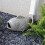 Elegant Simulated Fish Statue With Functional Drainage Fish 6