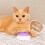 Dog Training Button Voice Recording Button Pet Training Buzzer Second Record And Playback 5