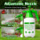Birchtree BIRCHTREE Garden Sprayer Bottle 2L Manual Pump Pressure W/ Adjustable Nozzle 3