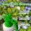 Birchtree BIRCHTREE Garden Sprayer Bottle 2L Manual Pump Pressure W/ Adjustable Nozzle 5