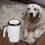 Automatic Dog Paw Cleaner, Rechargeable, ABS & Silicone, Medium/Large 4
