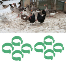 100 Stück grüne Geflügel-Fußringe mit offener Schnalle 18 mm für Huhn, Ente, Gans
