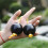 Rhythmic Hand Shaker Balls – 19cm, 5cm Diameter Plastic Percussion Egg 5