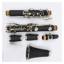 Professional 17 Key Bb Clarinet Ebonite Body Nickel Plated Keys with Case and Accessories