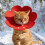 4Pcs Cats Cone Collar Protective Neckwear With Adjustable Button 4