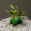 4lots Artificial Plastic Water Plant Grass Aquariums Decorations 6