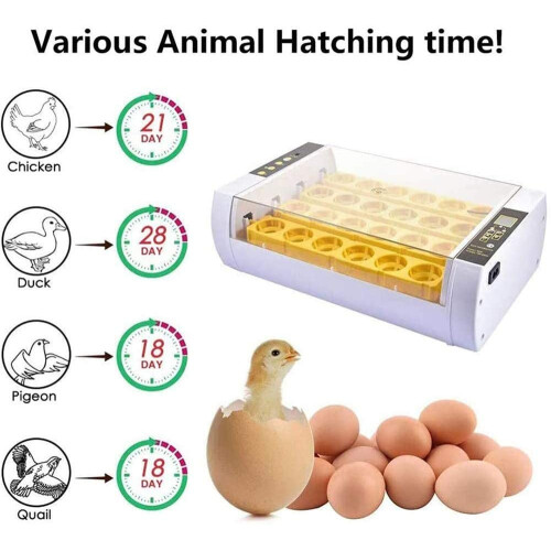 Automatic Egg Incubator 24 Eggs with Precise Temperature Humidity Control and LED Inspection for Chicken Duck Quail 1
