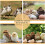 Automatic Egg Incubator 24 Eggs with Precise Temperature Humidity Control and LED Inspection for Chicken Duck Quail 5