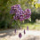 Tentures de vitrail 2D en acrylique, paons/fleurs,-5A 7