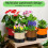 Ensemble de 6 pots de fleurs non tissés durables avec-5 gallons 2