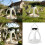 Plastic Wild Bird Feeder Feeding Stations Solar Light Food 2