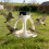Plastic Wild Bird Feeder Feeding Tray Solar Light Food Container 4