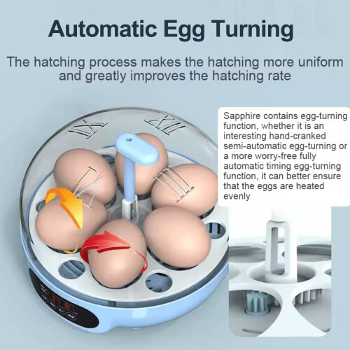 Automatic Egg Incubator with LED Display, 6 Egg Digital Hatcher for Chicken Duck Bird Hatching 2
