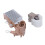 Alternator Brush & Voltage Regulator Kit for LX450 1