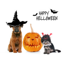 Cappello Cosplay Halloween Gatto Cane Pipistrello in Peluche, Regolabile, Taglia Universale, Arancione e Nero