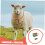 Adjustable Sheep Collar with Copper Bell, Reflective Design and Quick Release for Livestock Tracking 3