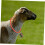 Adjustable Sheep Collar with Copper Bell, Reflective Design and Quick Release for Livestock Tracking 4